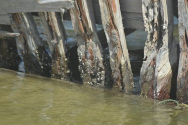 Ahşap kaplama gemi omurgası. Yüksek kalite fotoğraf