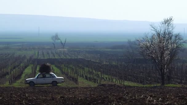 Uitzicht over landschap met auto — Stockvideo