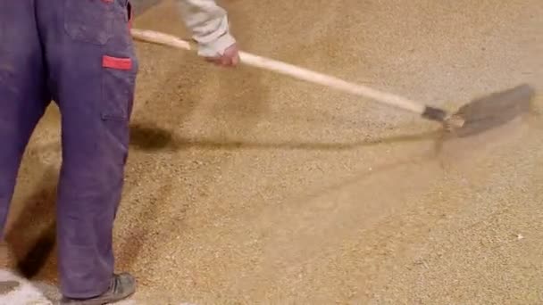 Worker operating a shovel at the animal food factory warehouse. — Stock Video