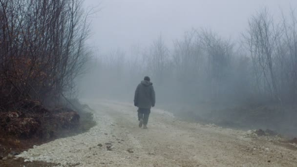 Человек идет через туманный лес — стоковое видео
