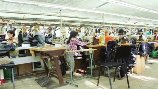 Mujeres que trabajan en un taller de costura — Vídeo de stock