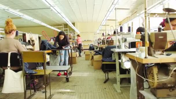 Vrouwen die werken in een workshop naaien — Stockvideo