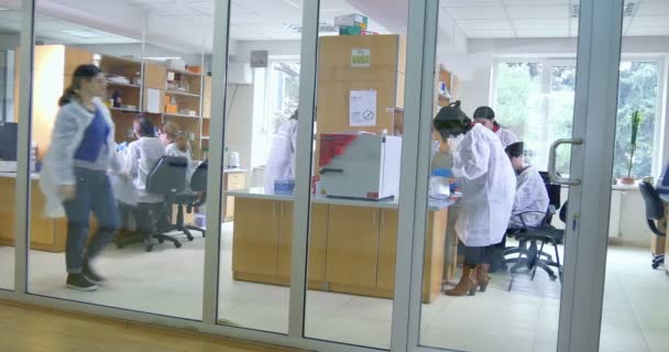 Grupo de científicos que trabajan en el laboratorio — Vídeos de Stock