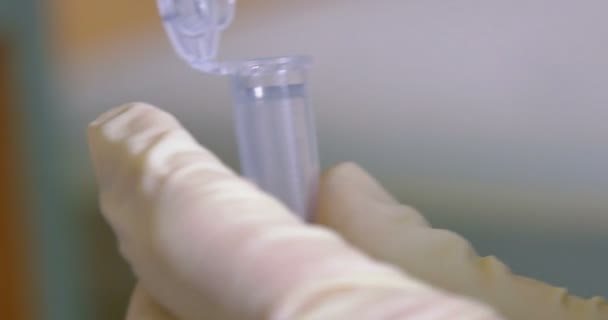 Scientist working at the laboratory, close-up — Stock Video