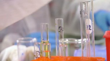 Laboratuarda çalışan bilim adamı yakın çekim