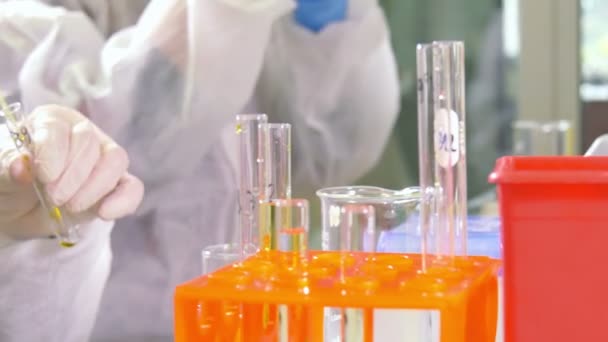 Forskare som arbetar i laboratoriet, närbild — Stockvideo