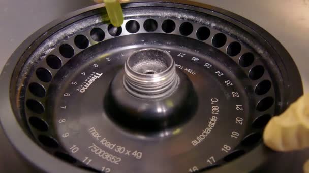 Scientist working at the laboratory, close-up — Stock Video