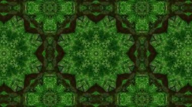 Kaleydoskop yeşil ağaç