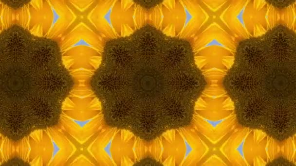 Sonnenblumen-Kaleidoskop Hintergrund — Stockvideo