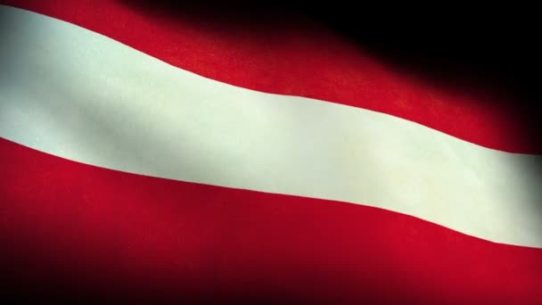 Nationalflagge von Österreich — Stockvideo