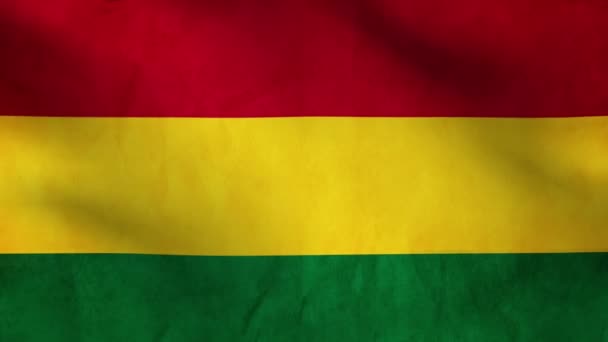 Nationale vlag van Bolivia — Stockvideo