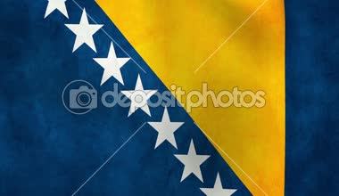 Bosna-Hersek ulusal bayrak