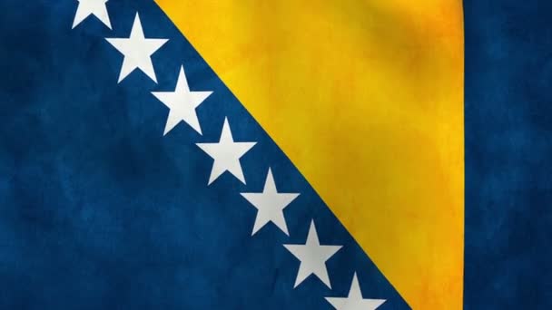 Nationale vlag van Bosnië en herzegovina — Stockvideo