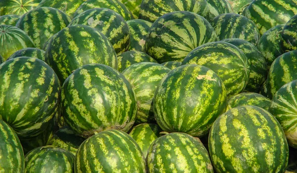 Karpuz Satılık yığını