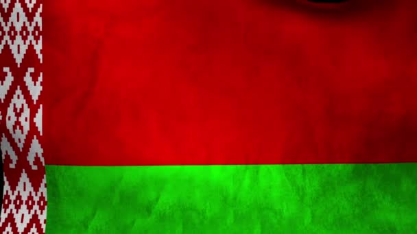 Nationale vlag van Belarus — Stockvideo