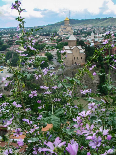 Casco antiguo con iglesia y flores florecientes —  Fotos de Stock