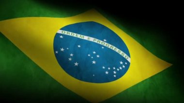Brezilya Ulusal Bayrağı