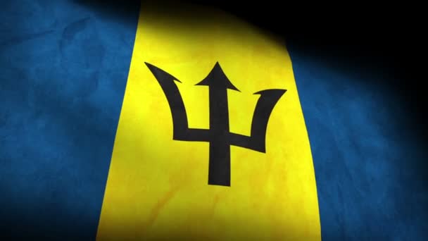 National flag of Barbados — Stock Video