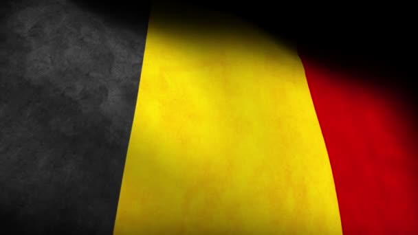 Bandera nacional de Bélgica — Vídeo de stock