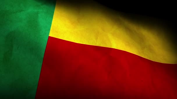 Bandeira nacional de Benin — Vídeo de Stock