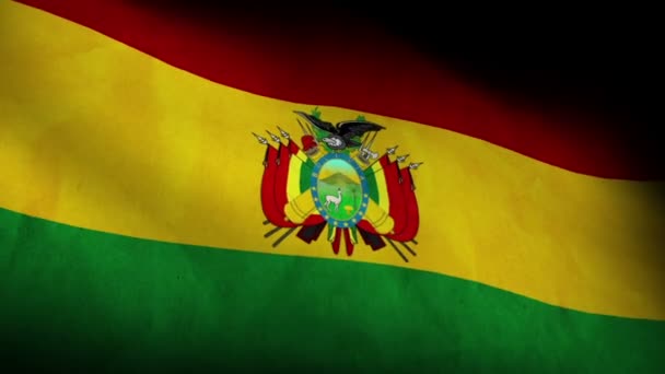 National flag of Bolivia — Stock Video