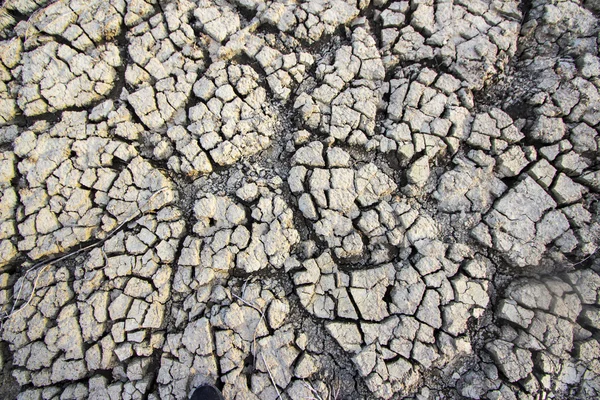 Gedroogde en gebarsten grond — Stockfoto