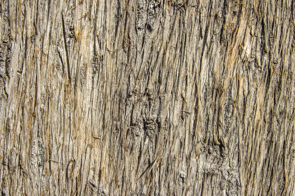 Ağaç kabuğu sorunsuz arka plan