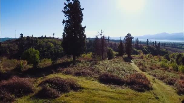 Georgia'nın doğa yaz aylarında — Stok video