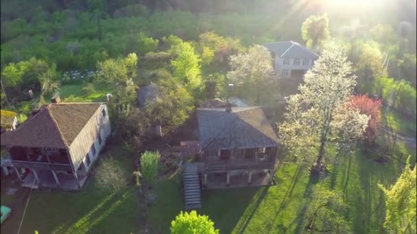 Зеленые деревья вокруг деревенских домов — стоковое видео