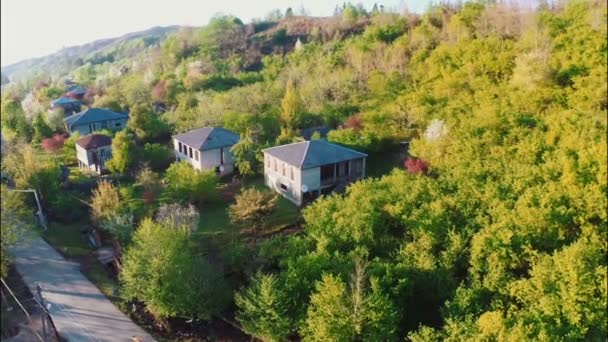 Green trees around rustic houses — Stock Video