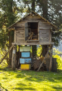 old wooden hut