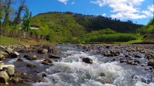 Rio flui perto da aldeia com floresta na colina — Vídeo de Stock