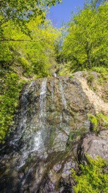 Bahar orman manzaralı şelale