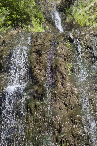 Scenic waterfall in spring forest — Stock Photo, Image