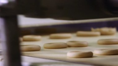 üretim hattında çiğ simit