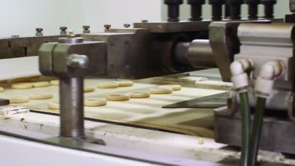Ongebakken bagels op productielijn — Stockvideo