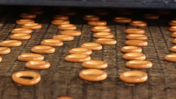 Rosquillas al horno en la línea de producción — Vídeos de Stock