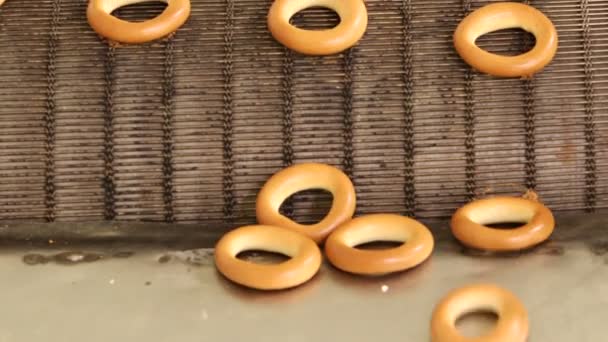 Rosquillas al horno en la línea de producción — Vídeos de Stock