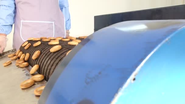 Εργαζόμενος συγκεντρώνει bagels από γραμμή παραγωγής — Αρχείο Βίντεο