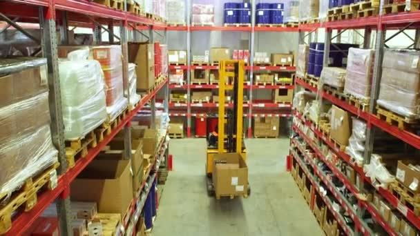 Cardboard boxes inside a storage warehouse. — Stock Video