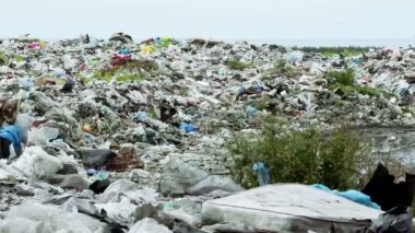Batum'da çöp boşaltma