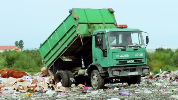 Vrachtwagen ontlaadt bij de vuilnisbelt — Stockvideo