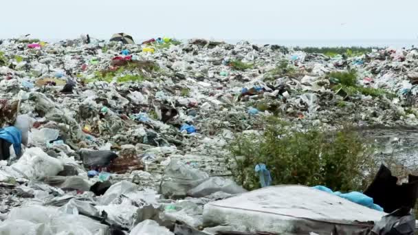 Garbage dumping in Batumi — Stock Video