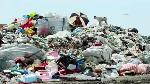 Woman sitting on the top of Garbage dump — Stock Video