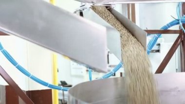 kahve çekirdekleri makineye koyarak