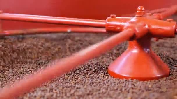 Koffie bonen in industriële machine — Stockvideo
