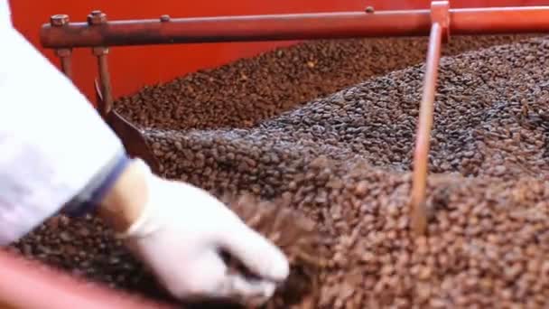 Kahve çekirdekleri endüstriyel makine — Stok video