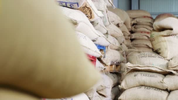 Sacos de grãos na fábrica de café — Vídeo de Stock