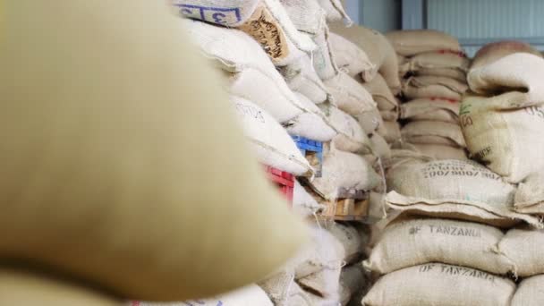 Tüten Bohnen in der Kaffeefabrik — Stockvideo