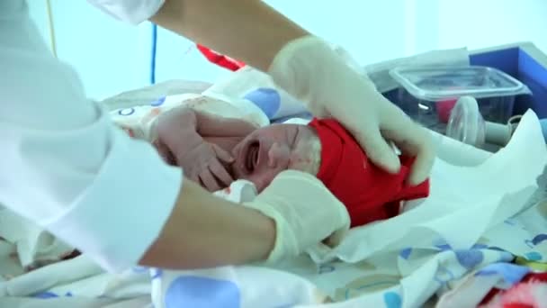 Cleaning off baby after birth — Stock Video